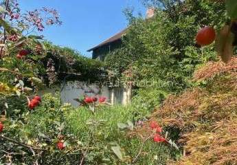 458811-Vorschaubild2