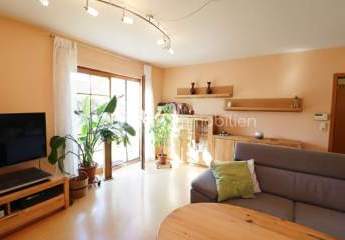 477924-Vorschaubild3