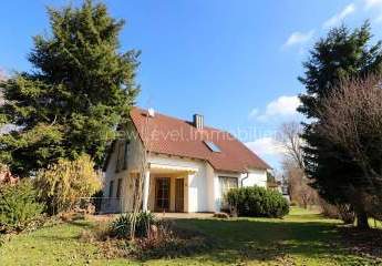 483365-Vorschaubild3