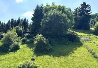 Helle DG Wohnung mit Einbauküche