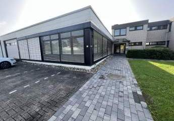 452994-Vorschaubild2