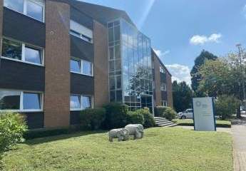 467311-Vorschaubild3