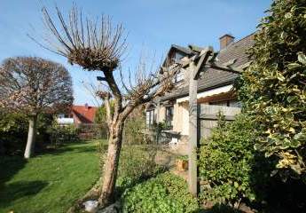 479948-Vorschaubild3