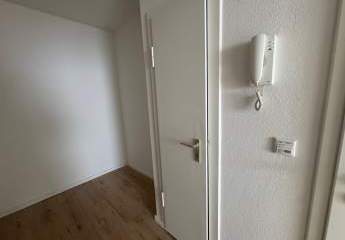 492917-Vorschaubild4