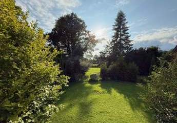 435422-Vorschaubild2