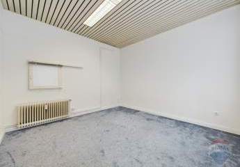 444413-Vorschaubild4