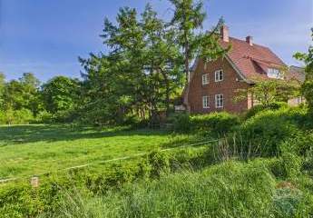 444432-Vorschaubild2