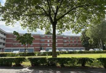 444438-Vorschaubild3