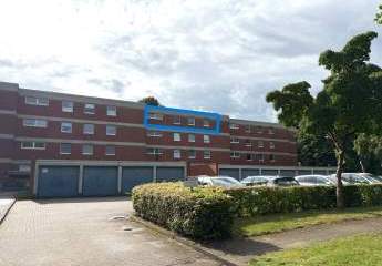 444438-Vorschaubild4