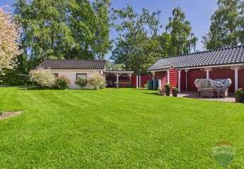 444502-Vorschaubild4