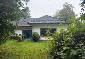 447997-Vorschaubild2