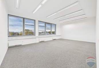 453475-Vorschaubild4