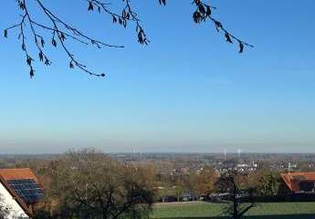 471978-Vorschaubild3