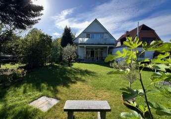 444429-Vorschaubild2