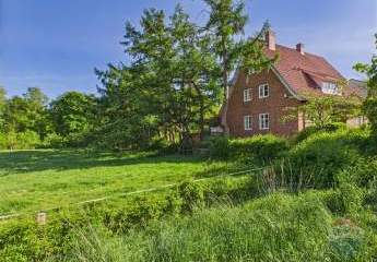 444432-Vorschaubild3