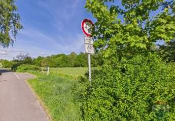 444432-Vorschaubild4