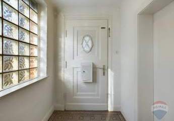 451532-Vorschaubild4