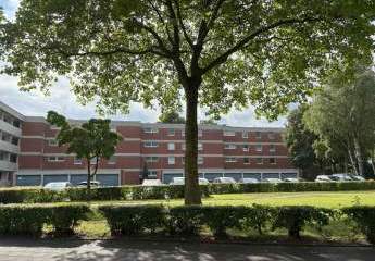 444438-Vorschaubild4