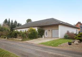 482895-Vorschaubild3