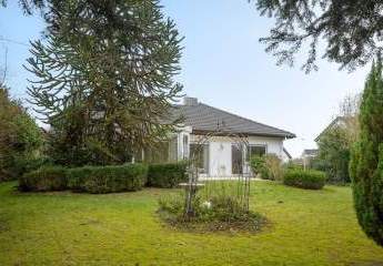 482895-Vorschaubild4