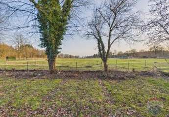 485138-Vorschaubild3