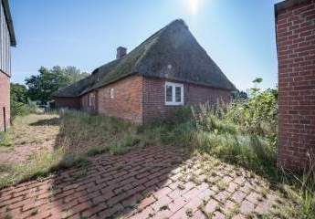 490340-Vorschaubild2