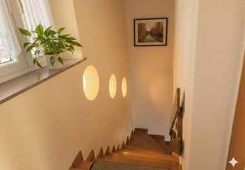 450627-Vorschaubild3