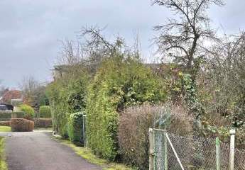 Natur trifft Nutzen: Großes Gartengrundstück inklusive Halle mit asphaltierter Zufahrt