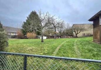 462707-Vorschaubild4