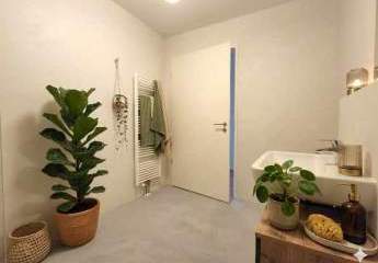 478160-Vorschaubild3