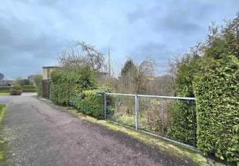 481962-Vorschaubild3