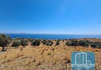 Kreta, Agios Pavlos: Großes Grundstück mit Meerblick zu verkaufen