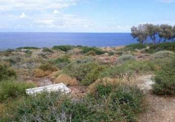 Kreta, Latsima: Grundstück in Meeresnähe zu verkaufen, nur 10 km von Rethymno!