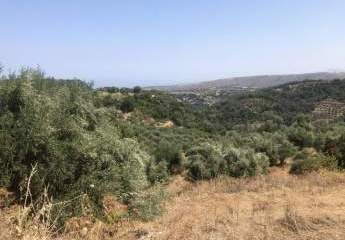 Kreta, Chromonastiri: Großes Grundstück zu verkaufen