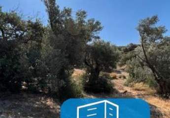 Kreta, Agia Galini: Herrliches Grundstück nur wenige Augenblicke vom Meer entfernt zum Verkauf