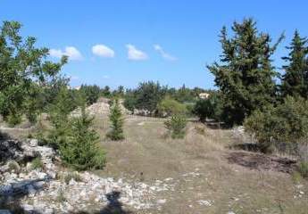 Riesiges Grundstück mit Ruinen, Wald, Olivenhain und Panoramablick