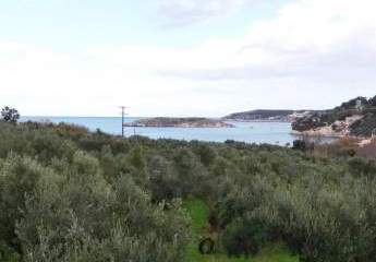 Kreta, Kera: Grundstück neben dem Strand zu verkaufen