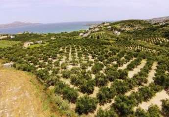 Kreta, Kera: Grundstück zu verkaufen, Hügellage mit Aussicht!