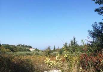 Olivenhain mit Meer- und Bergblick auf Kreta zum Verkauf