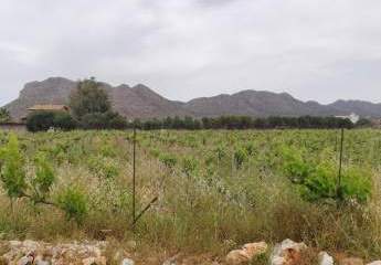 Ruhiges Grundstück in Stavros auf Kreta zum Verkauf
