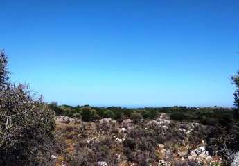 Abgelegenes Grundstück in Meeresnähe auf Kreta zum Verkauf