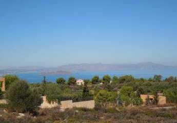 Kreta, Monte Vardia: Grundstück mit Panoramablick auf das Meer zu verkaufen