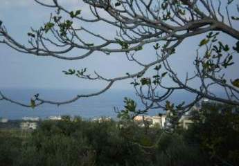 Kreta, Galatas: Grundstück zu verkaufen - geeignet für kommerzielle Entwicklung