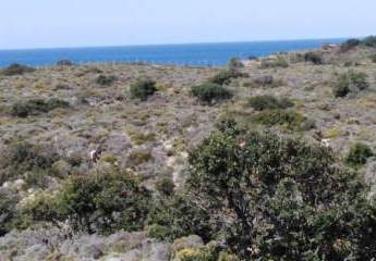 Kreta, Elafonisi: Großes Grundstück im Südwesten nahe des Meeres zu verkaufen
