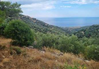 Kreta, Mochlos: Erhöhtes Baugrundstück mit Meerblick in Sfaka zu verkaufen