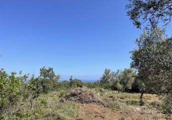 Kreta, Prines: Grundstück mit Meerblick zu verkaufen