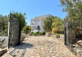 MIT BESICHTIGUNGSVIDEO! Kreta, Kavousi: Freistehendes Haus in Olivenhain zu verkaufen
