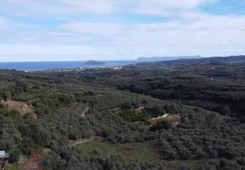 Kreta, Xirokampi: Grundstück mit Meer- und Bergblick zu verkaufen