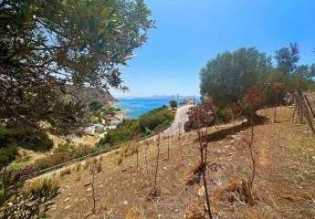 Kreta, Agia Galini: Erstklassiges Grundstück mit Meerblick zu verkaufen
