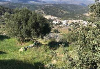 MIT VIDEO: Kreta, Kalo Chorio: Großes ländliches Baugrundstück mit Meerblick zu verkaufen